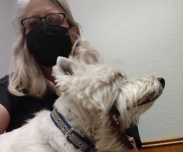 South Lake Veterinary Clinic
