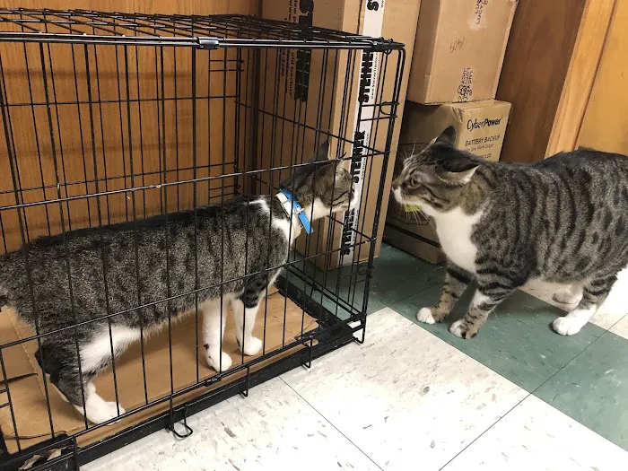 South Lake Veterinary Clinic 7