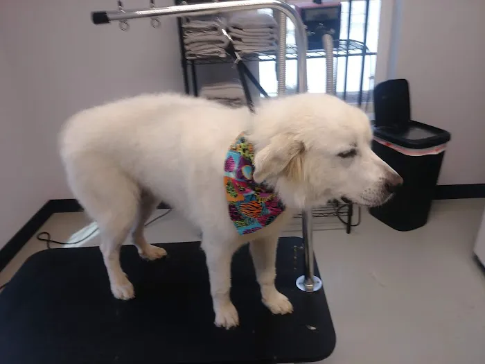 South Lake Veterinary Clinic 2