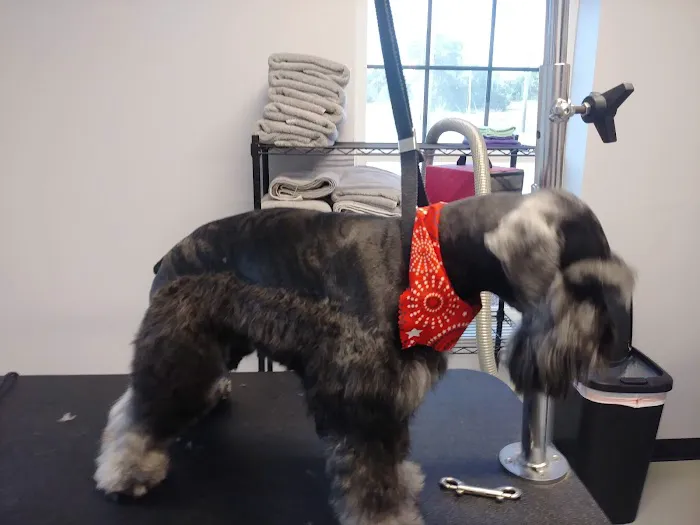 South Lake Veterinary Clinic 6