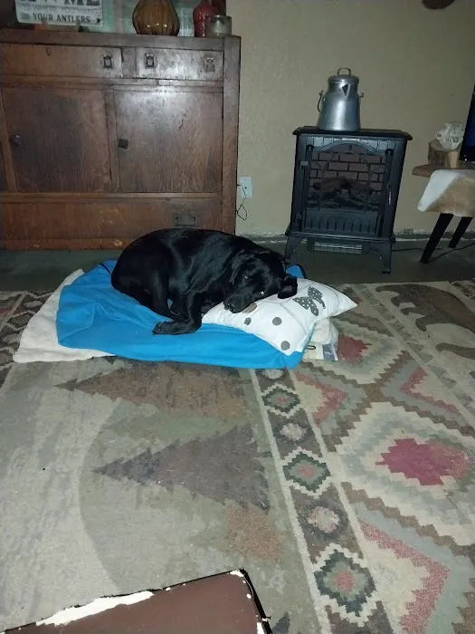 Fenton Animal 1