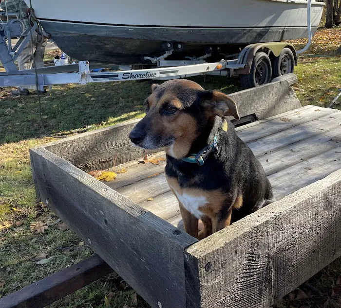 Piscataqua Animal Hospital 9