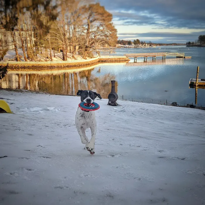 Piscataqua Animal Hospital 7