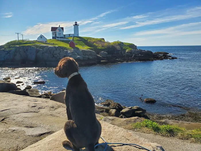 Kittery Animal Hospital 3