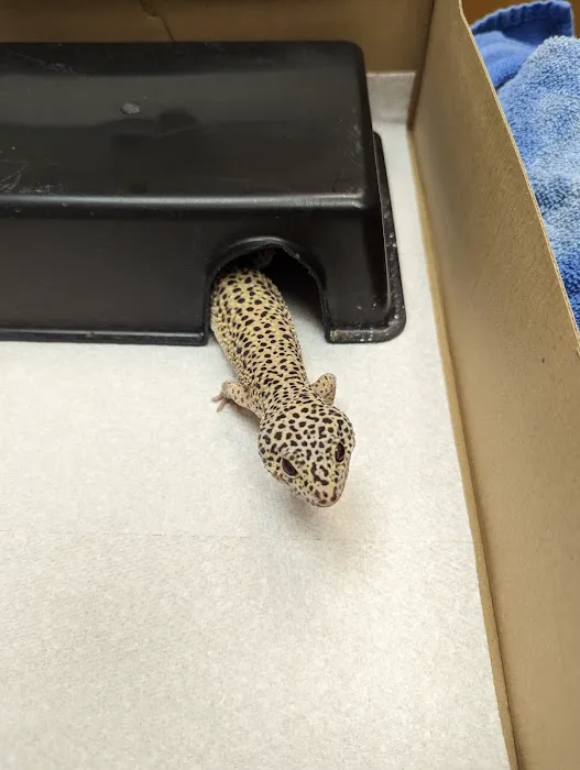 Animal Hospital of South Gorham 4