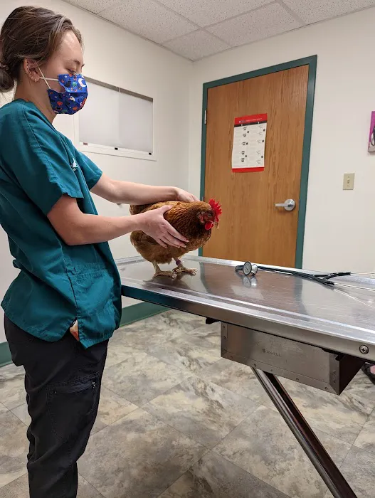 Animal Hospital of South Gorham 2