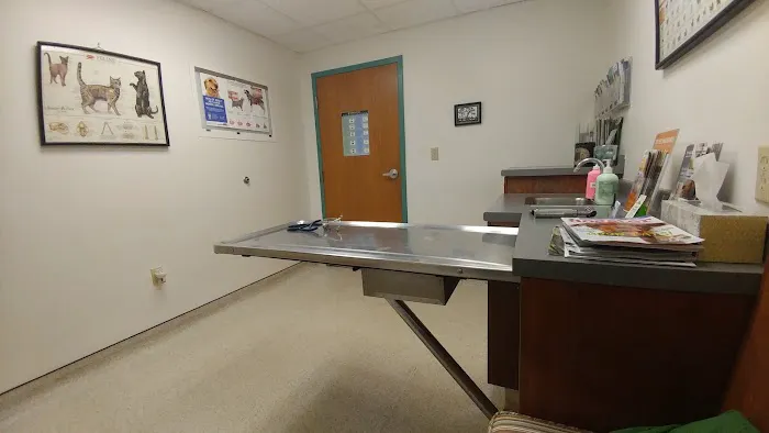 Animal Hospital of South Gorham 6