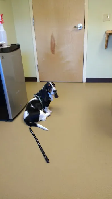 Tender Touch Veterinary Hospital 3