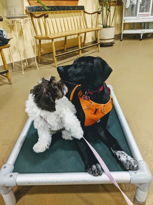 Tender Touch Veterinary Hospital 10