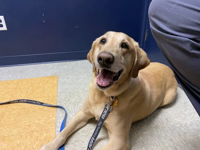 Pine Point Animal Hospital 5