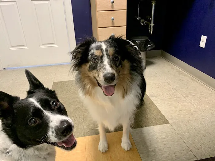Pine Point Animal Hospital 1