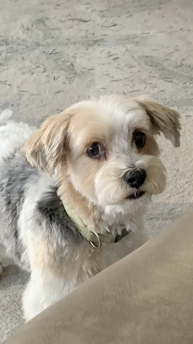 Pine Point Animal Hospital 9