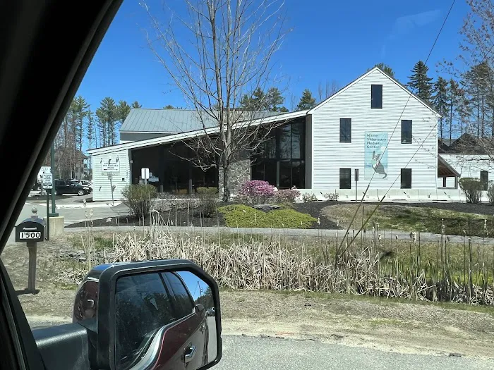 Maine Veterinary Medical Center 4