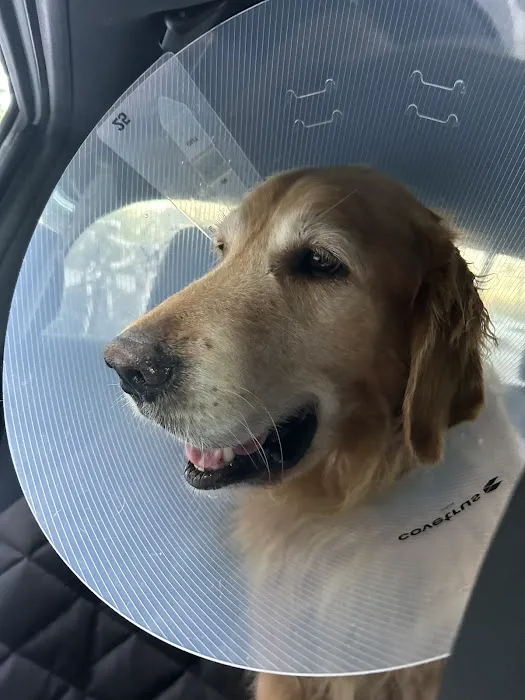 Maine Veterinary Medical Center 6