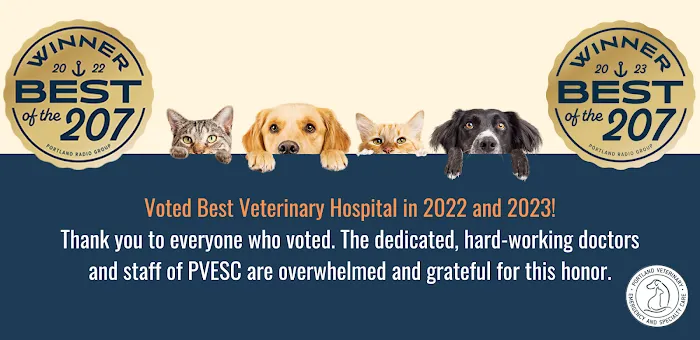 Portland Veterinary Emergency and Specialty Care 1