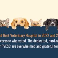 Portland Veterinary Emergency and Specialty Care ico