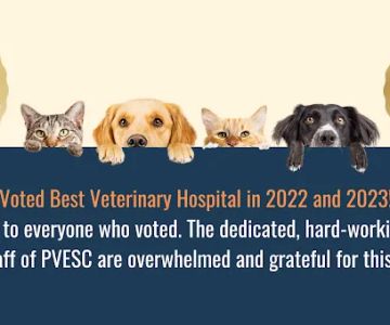 Portland Veterinary Emergency and Specialty Care