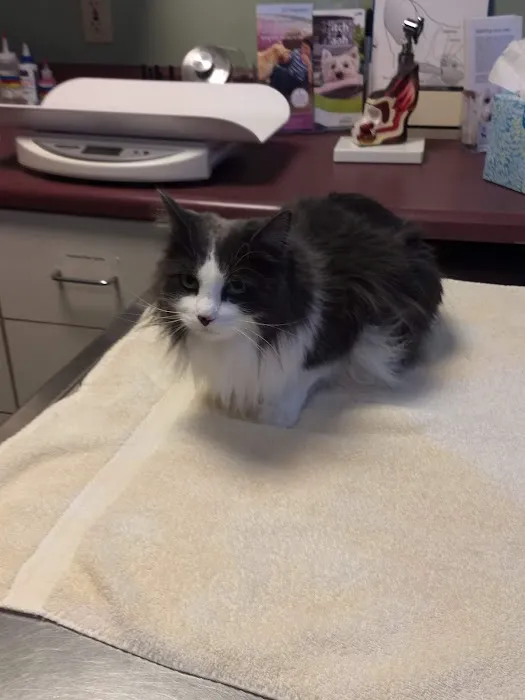 Portland Veterinary Emergency and Specialty Care 5