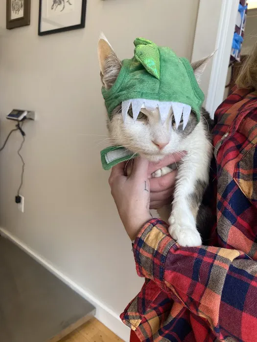 Maine Veterinary Internal Medicine 10