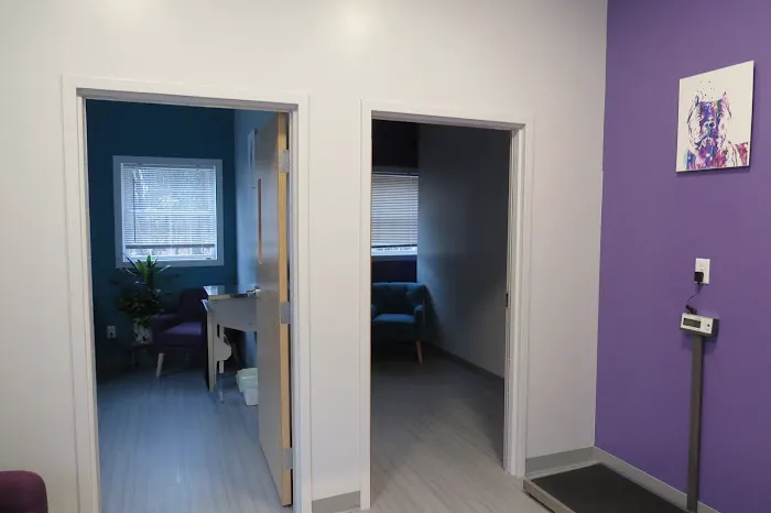 Mainely Veterinary Dentistry 2