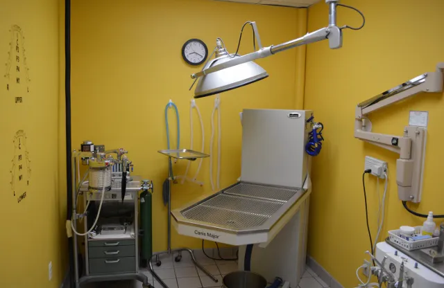 Biddeford Animal Hospital 4