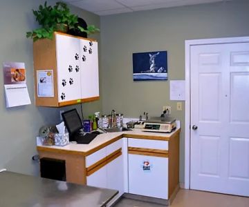 Biddeford Animal Hospital