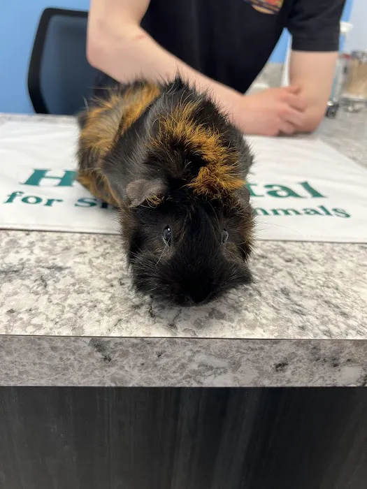 Southern Maine Hospital for Small Mammals 4