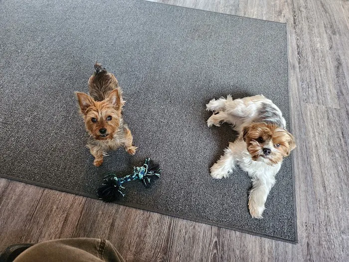 Westbrook Animal Hospital 4
