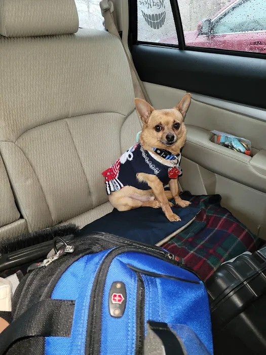 Westbrook Animal Hospital 5
