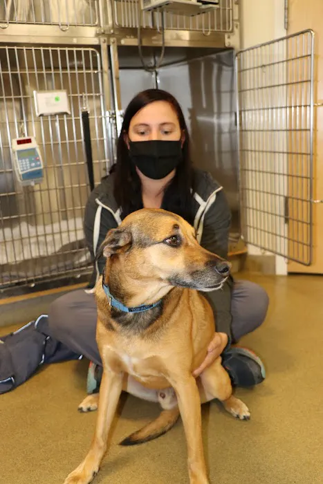 Portland Veterinary Emergency and Specialty Care 10