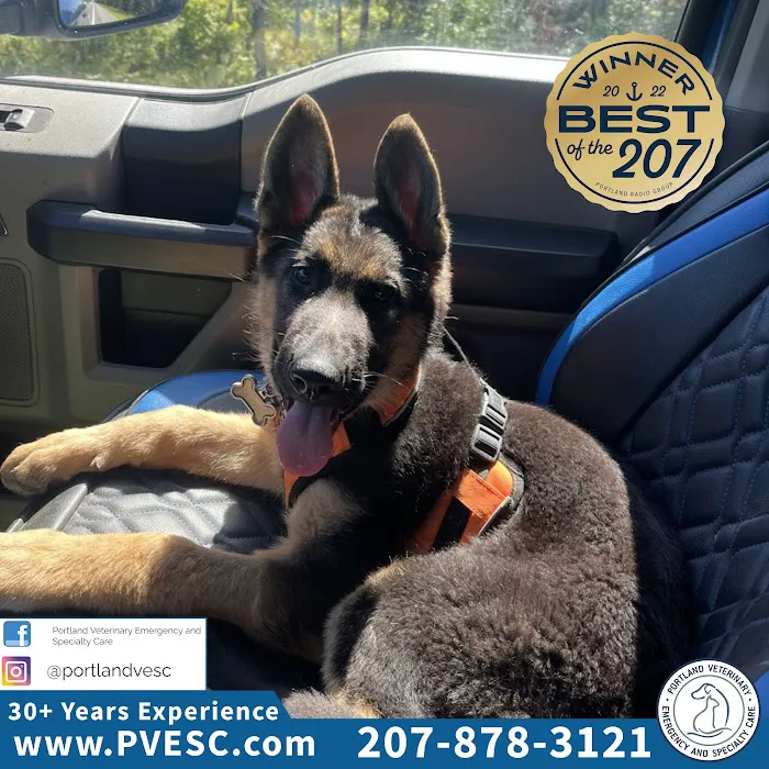 Portland Veterinary Emergency and Specialty Care 8