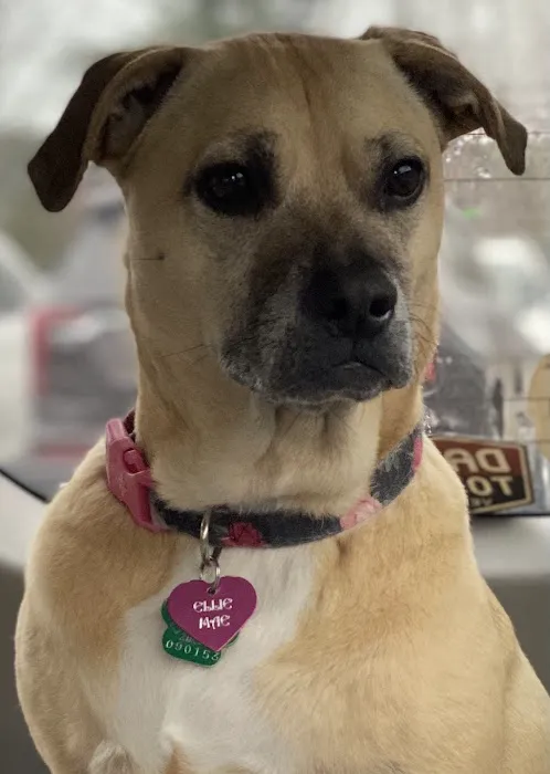 Stoneledge Animal Hospital 8