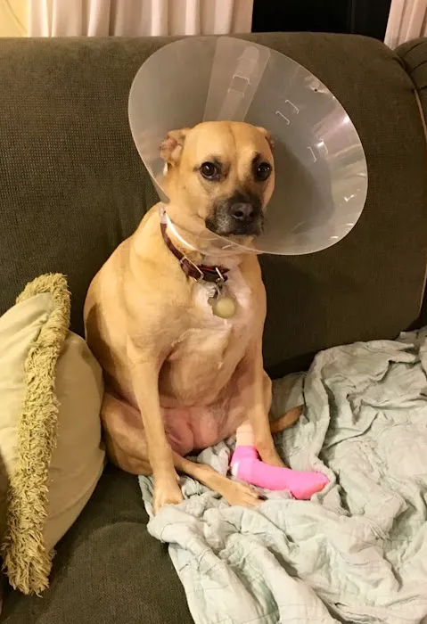 Stoneledge Animal Hospital 9