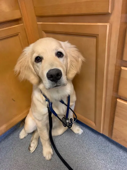 Casco Bay Veterinary Hospital 3