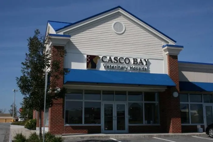 Casco Bay Veterinary Hospital 8