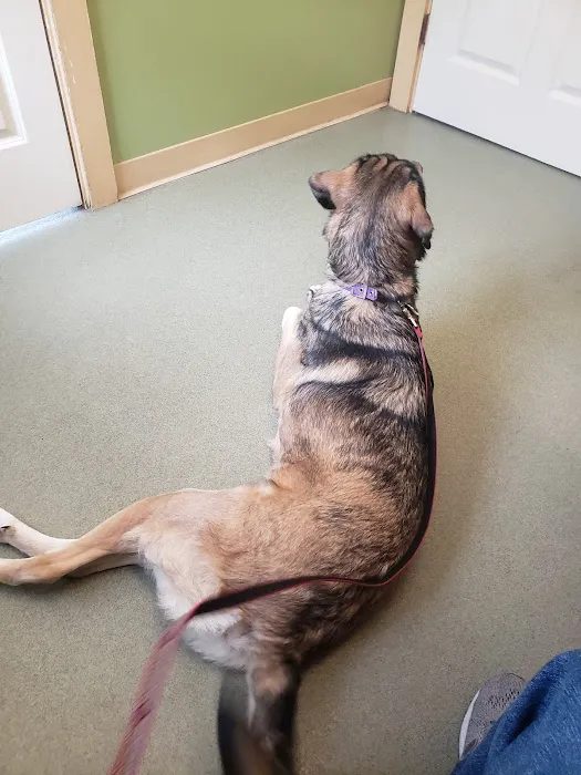 Poland Animal Hospital 7