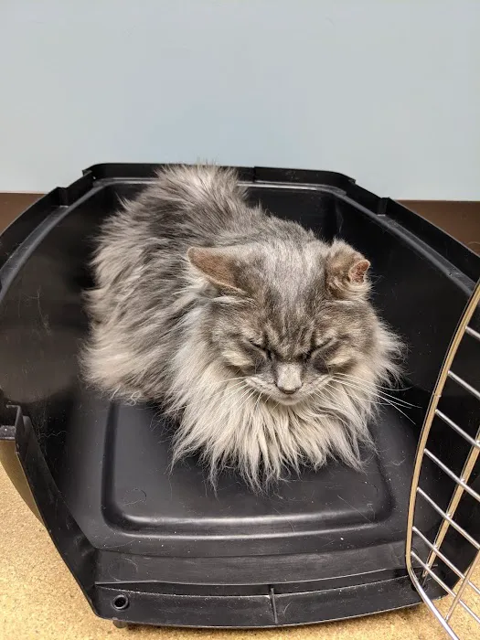 Mechanic Falls Veterinary Hospital 4