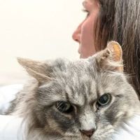 Mechanic Falls Veterinary Hospital ico