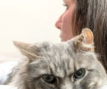 Mechanic Falls Veterinary Hospital