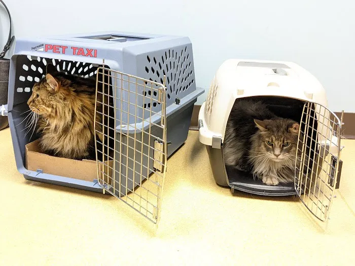 Mechanic Falls Veterinary Hospital 2