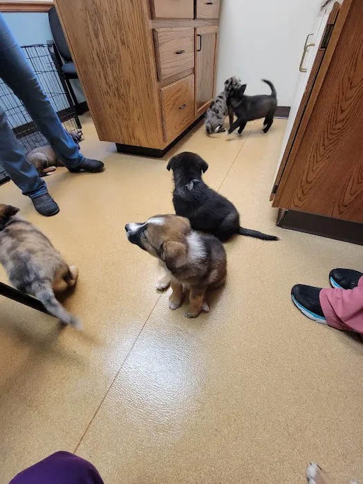 Mechanic Falls Veterinary Hospital 7