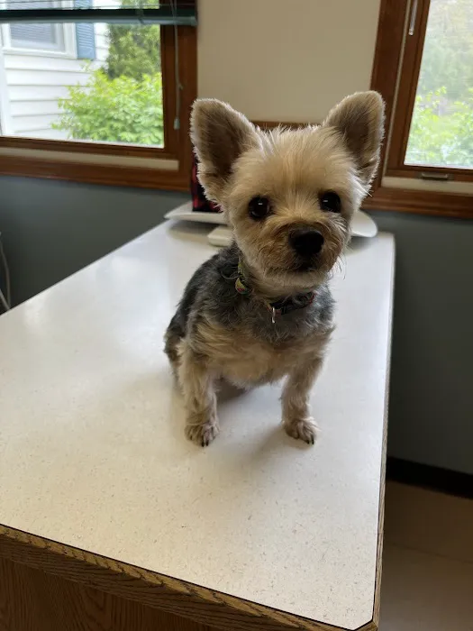 Mechanic Falls Veterinary Hospital 9