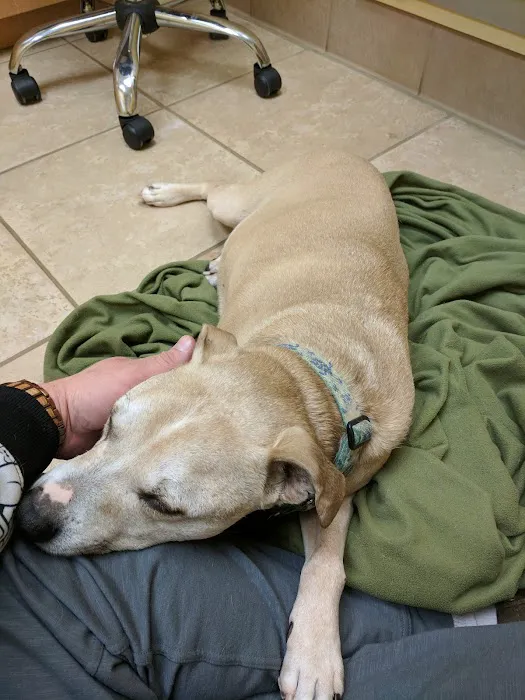 Gray-New Gloucester Animal Hospital 4