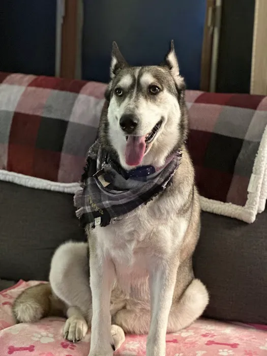 Gray-New Gloucester Animal Hospital 3