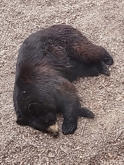 Gray Animal Center 6
