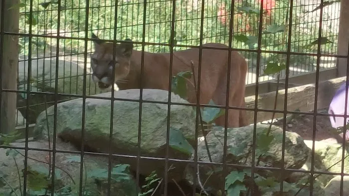 Gray Animal Center 1
