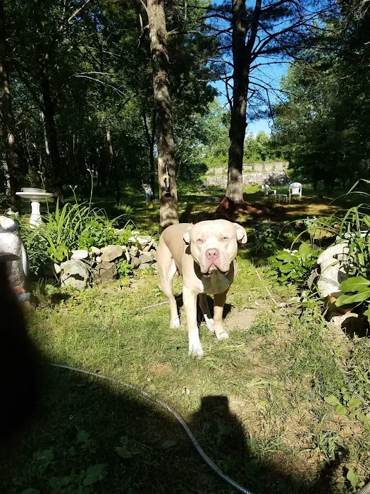 Gray Animal Center 2