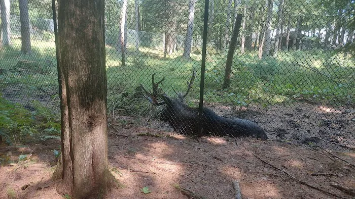 Gray Animal Center 4