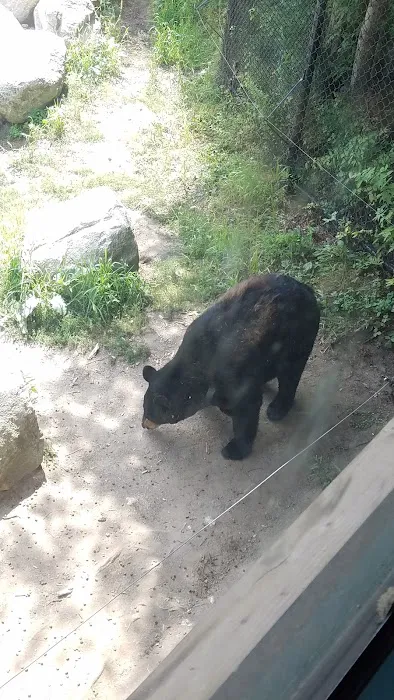 Gray Animal Center 7