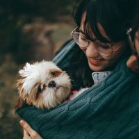 Norway Veterinary Hospital ico